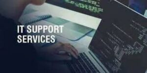 What is the role of IT support?